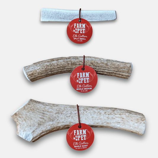 Elk Antler Dog Chews | All-Natural