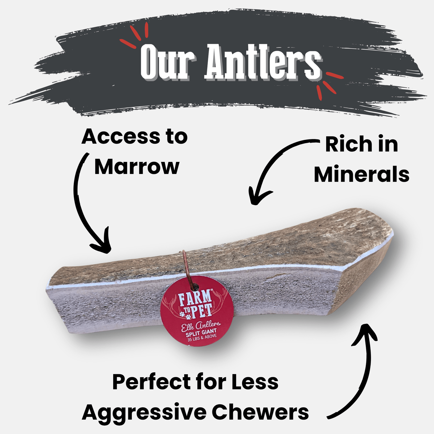 Elk Antler Dog Chews | All-Natural
