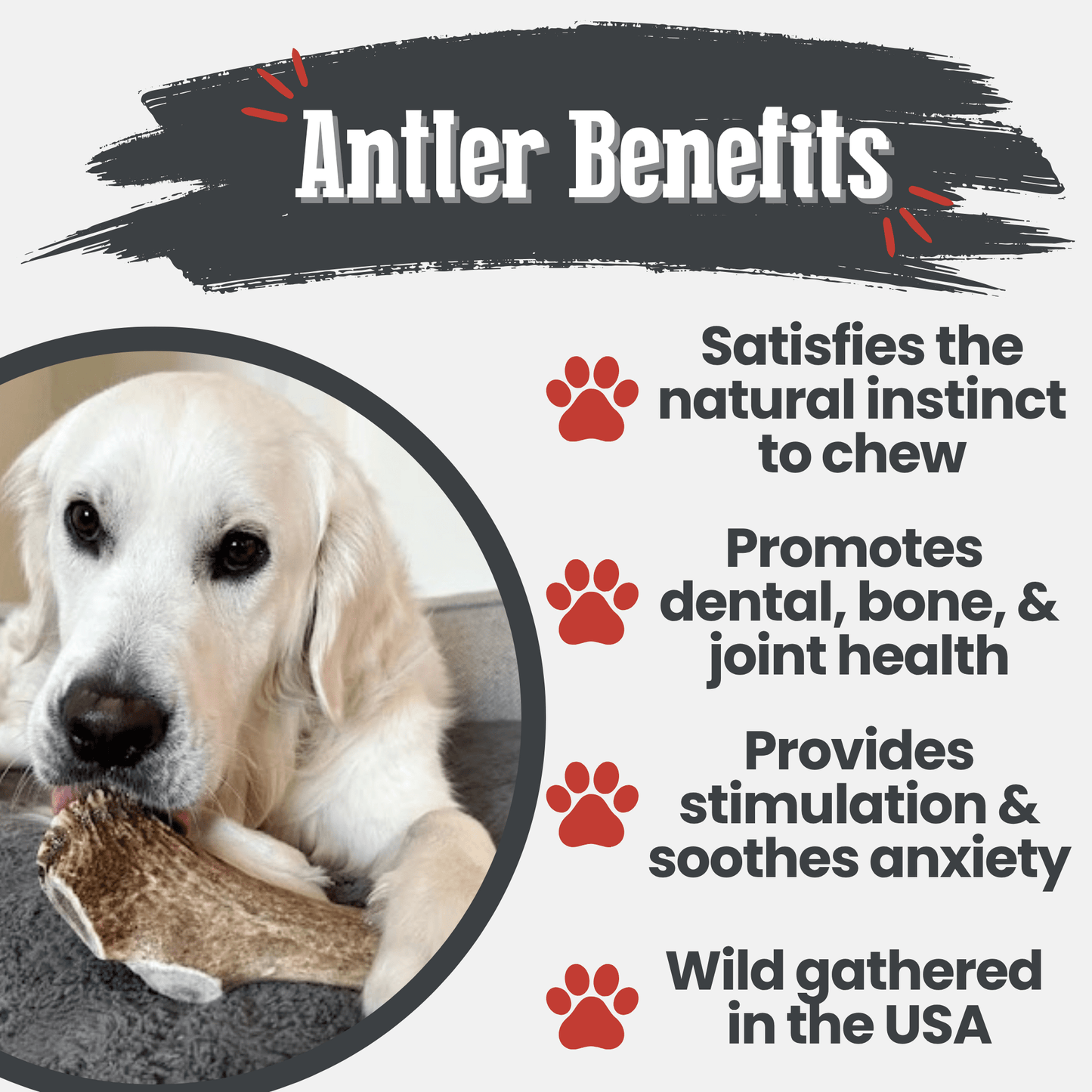 Elk Antler Dog Chews | All-Natural