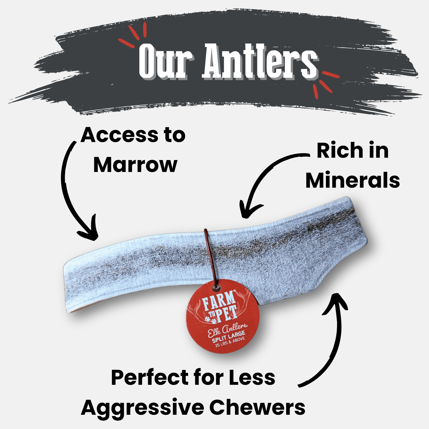 Elk Antler Dog Chews | All-Natural