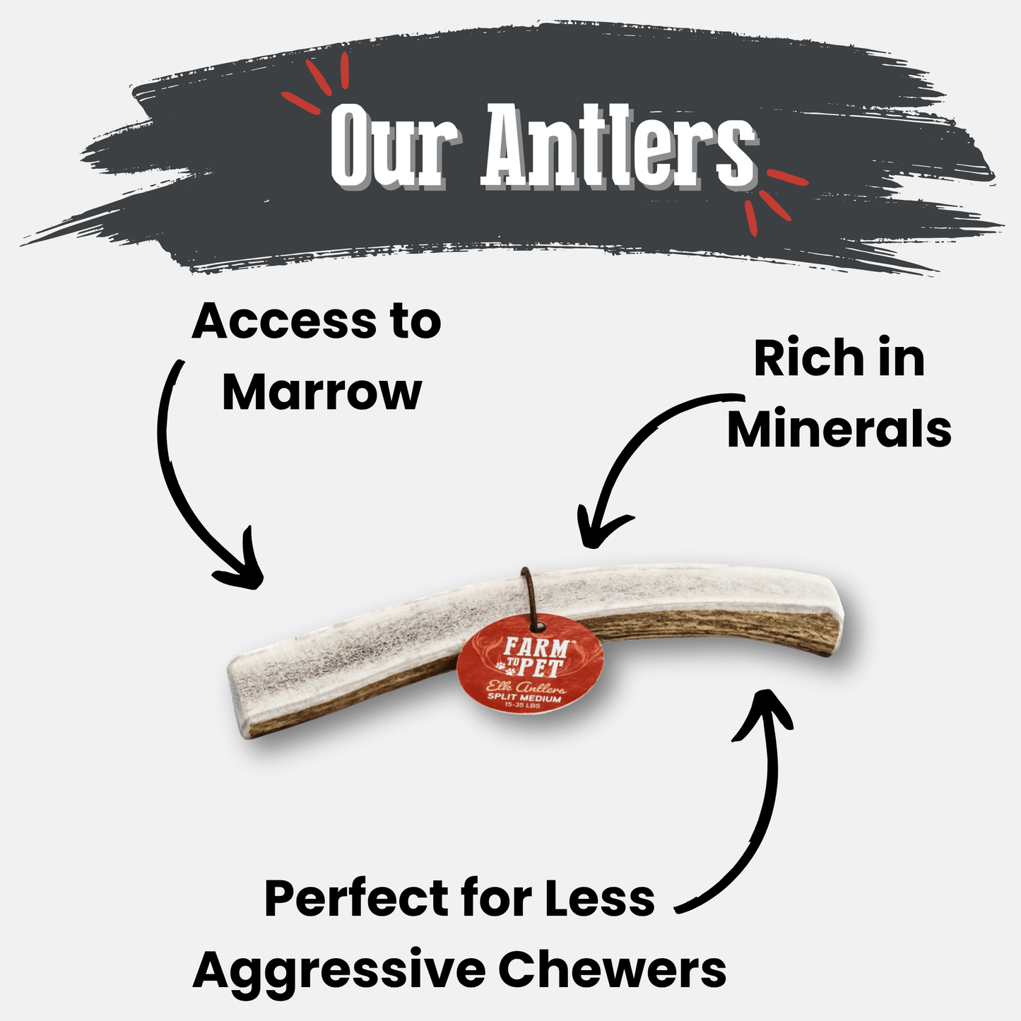 Elk Antler Dog Chews | All-Natural