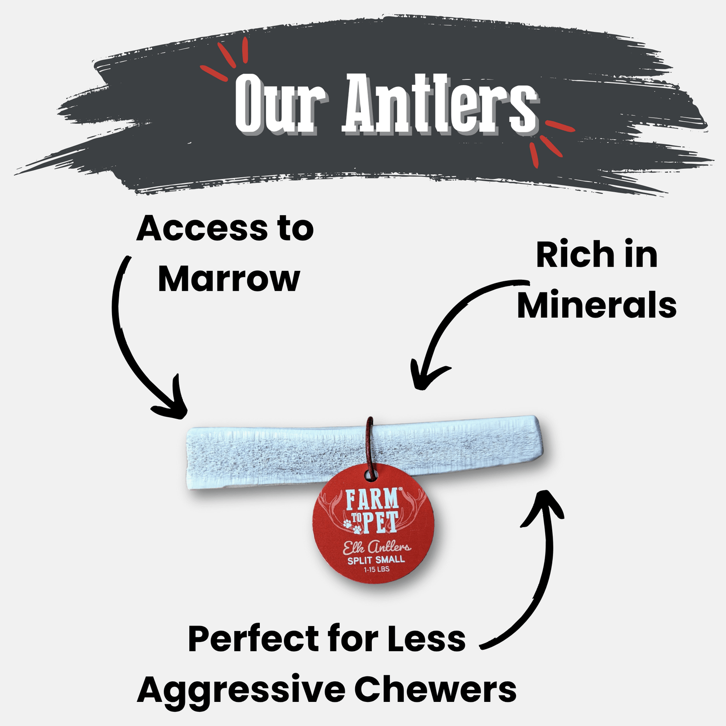 Elk Antler Dog Chews | All-Natural