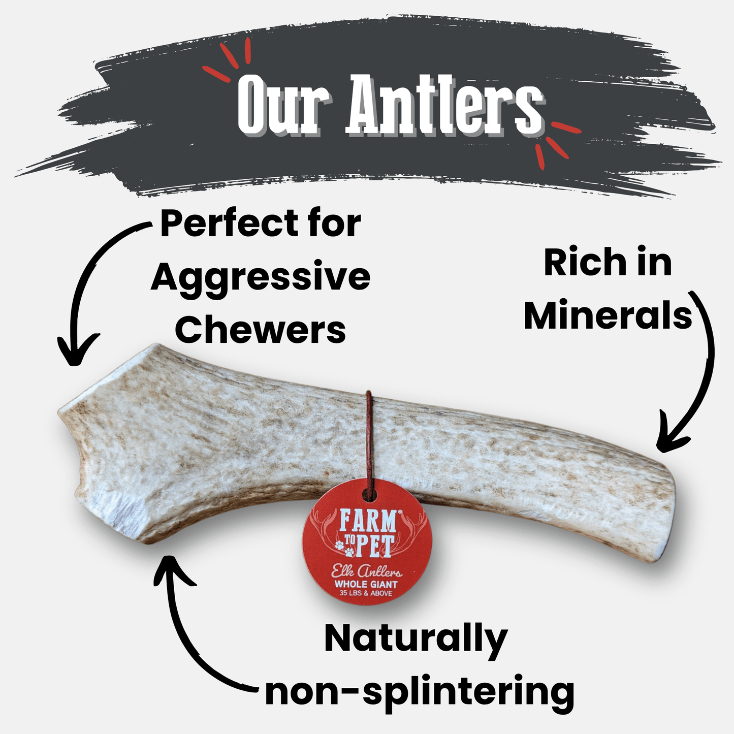 Elk Antler Dog Chews | All-Natural