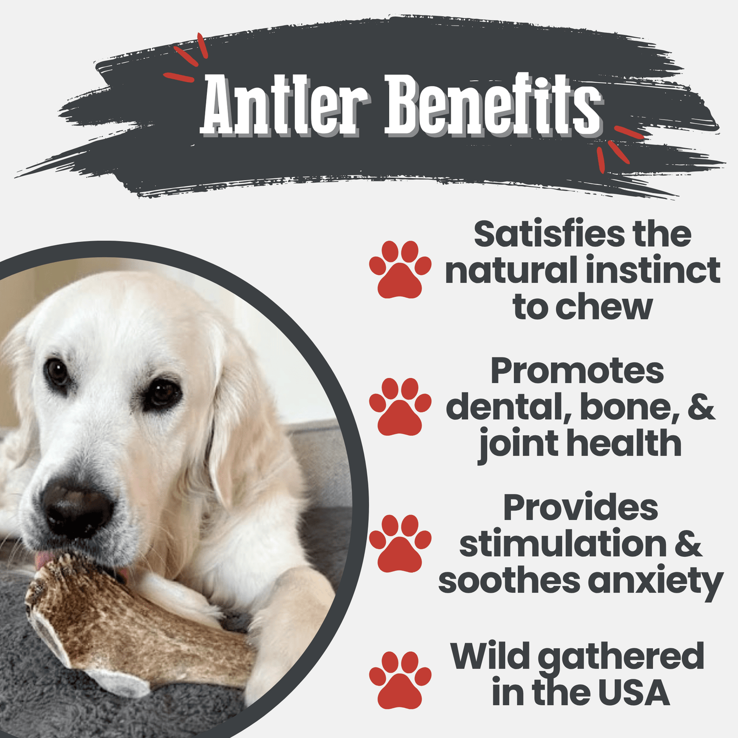 Elk Antler Dog Chews | All-Natural