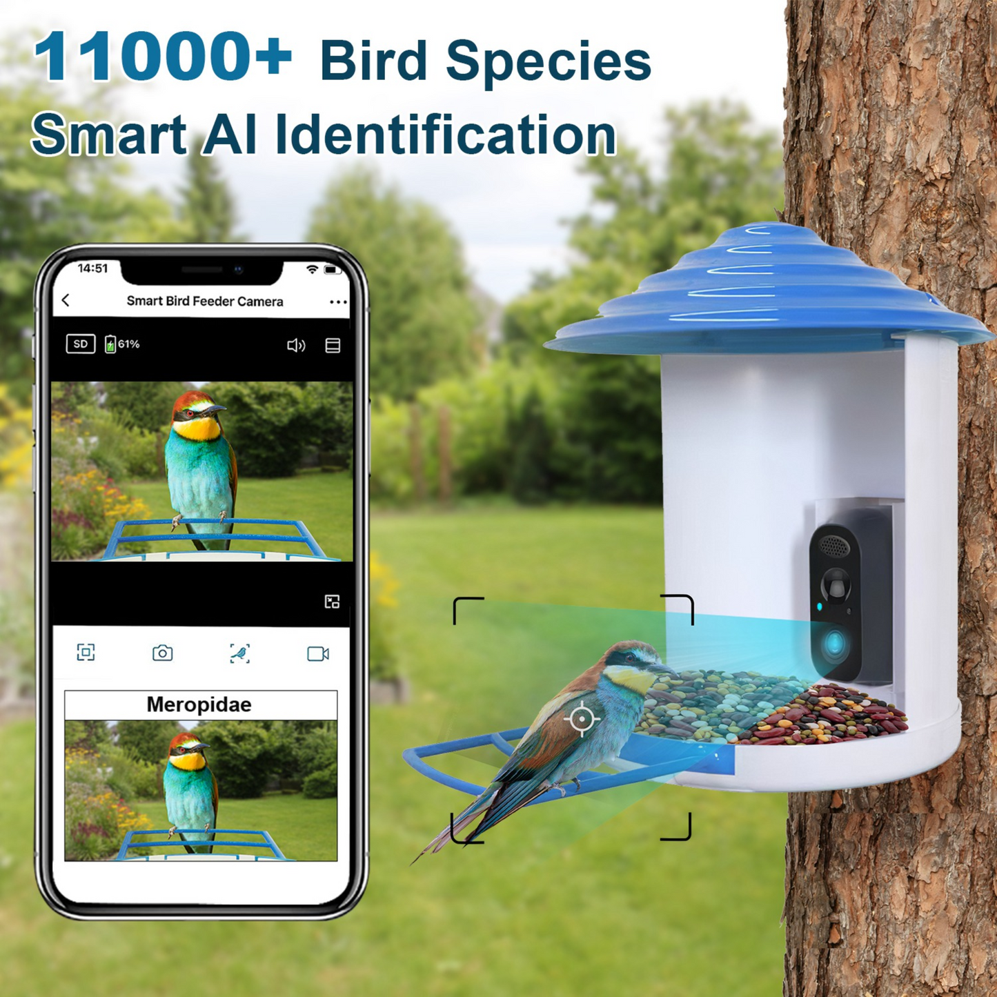 Smart Bird Feeder with Solar Powered Camera