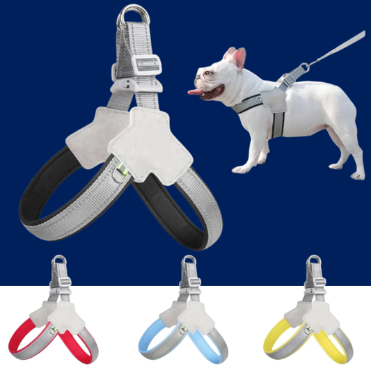Reflective No-Pull Dog Harness – Vest for Small & Medium Dogs