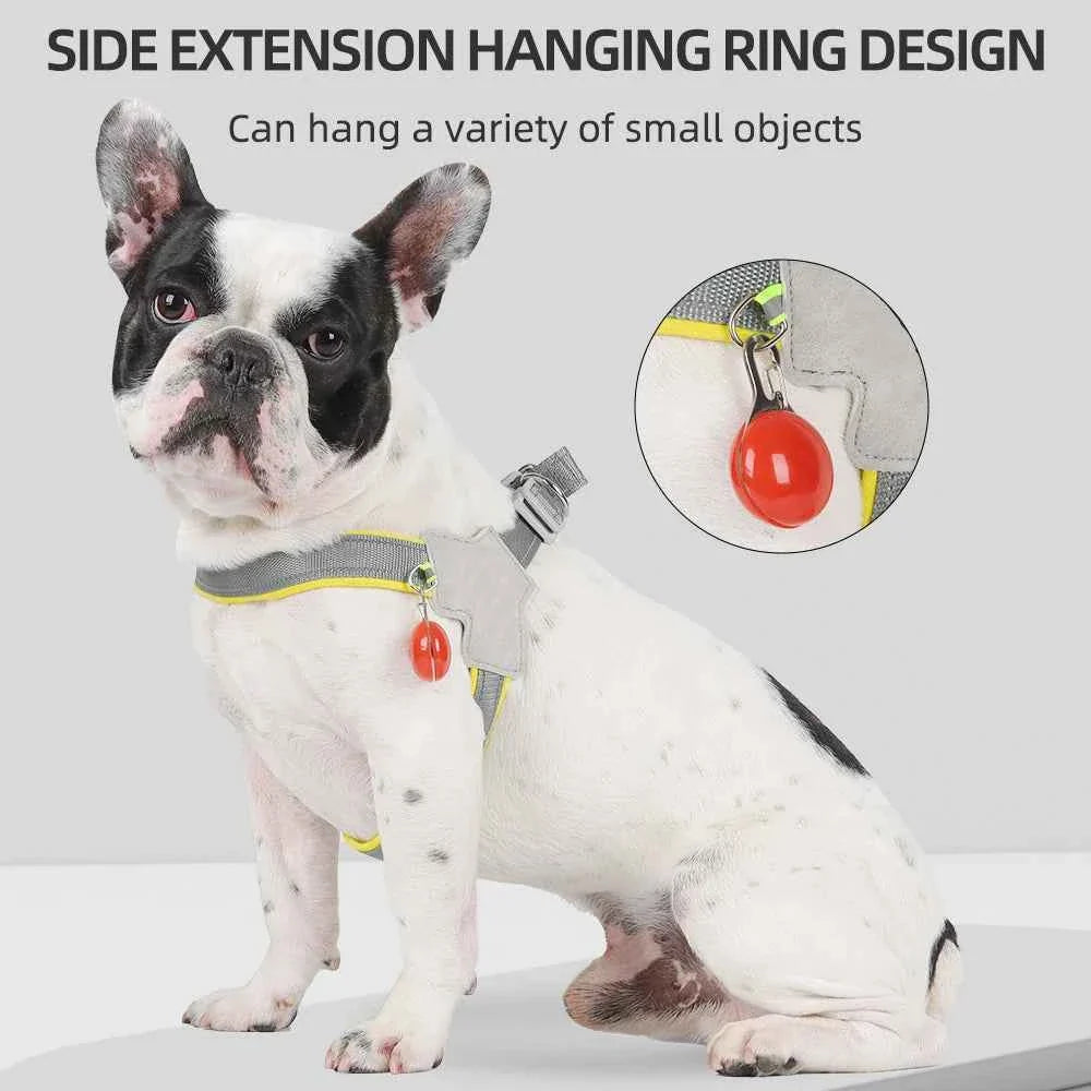 Reflective No-Pull Dog Harness – Vest for Small & Medium Dogs