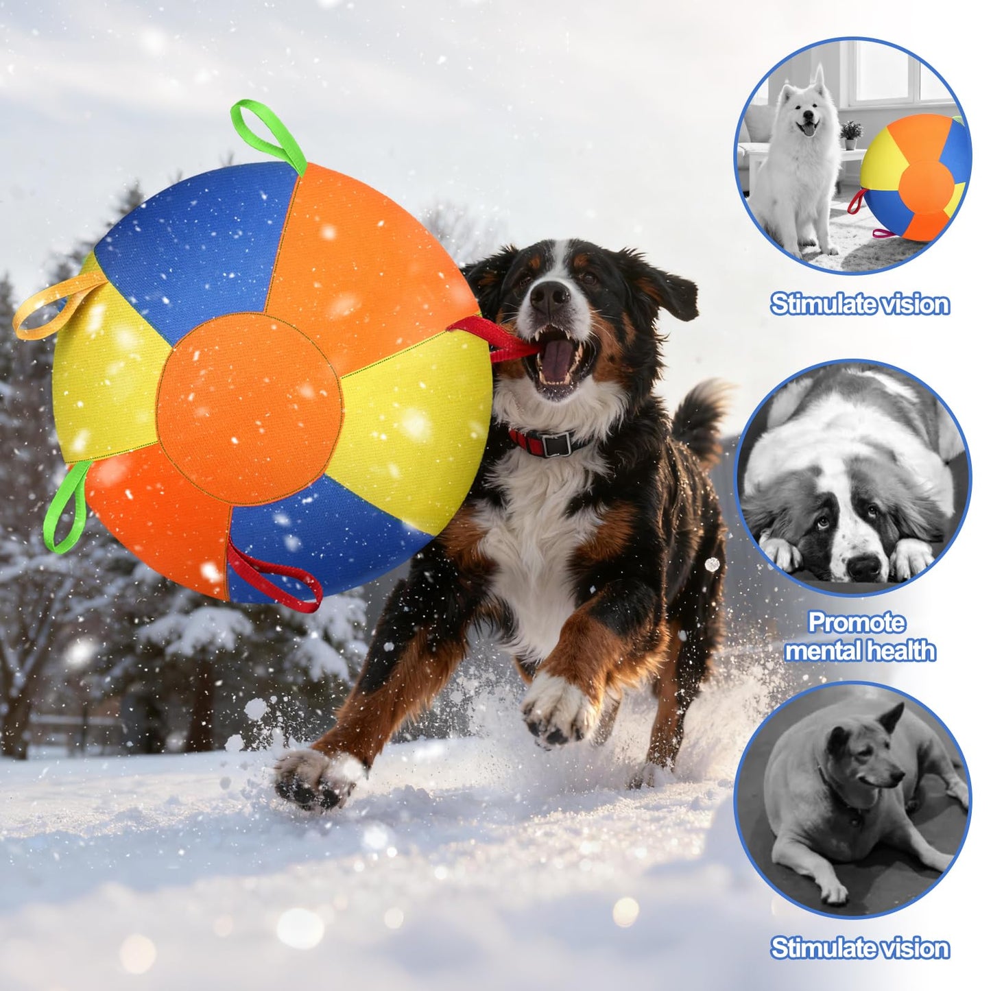 Herding Ball For Dogs