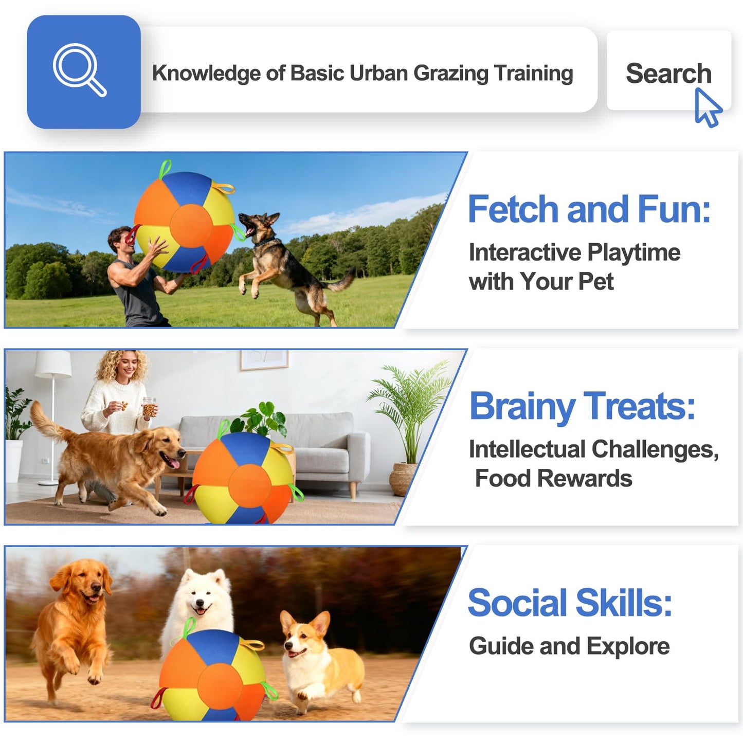 Herding Ball For Dogs