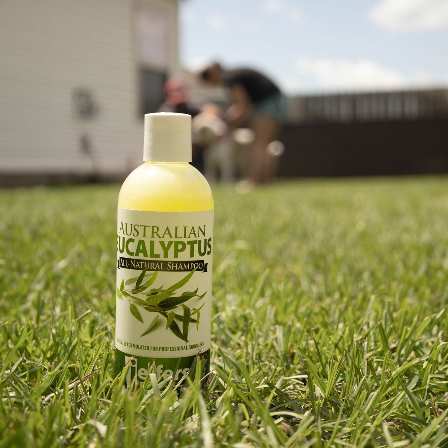 Eucalyptus All-Natural Dog Shampoo - Repelling Fleas, Ticks, Flies & Mosquitos
