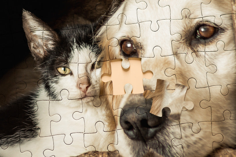 Custom Puzzle - Upload Picture