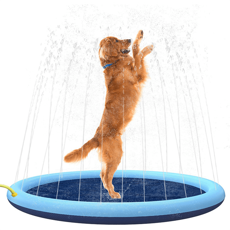 Pet Friendly Sprinkler Pad